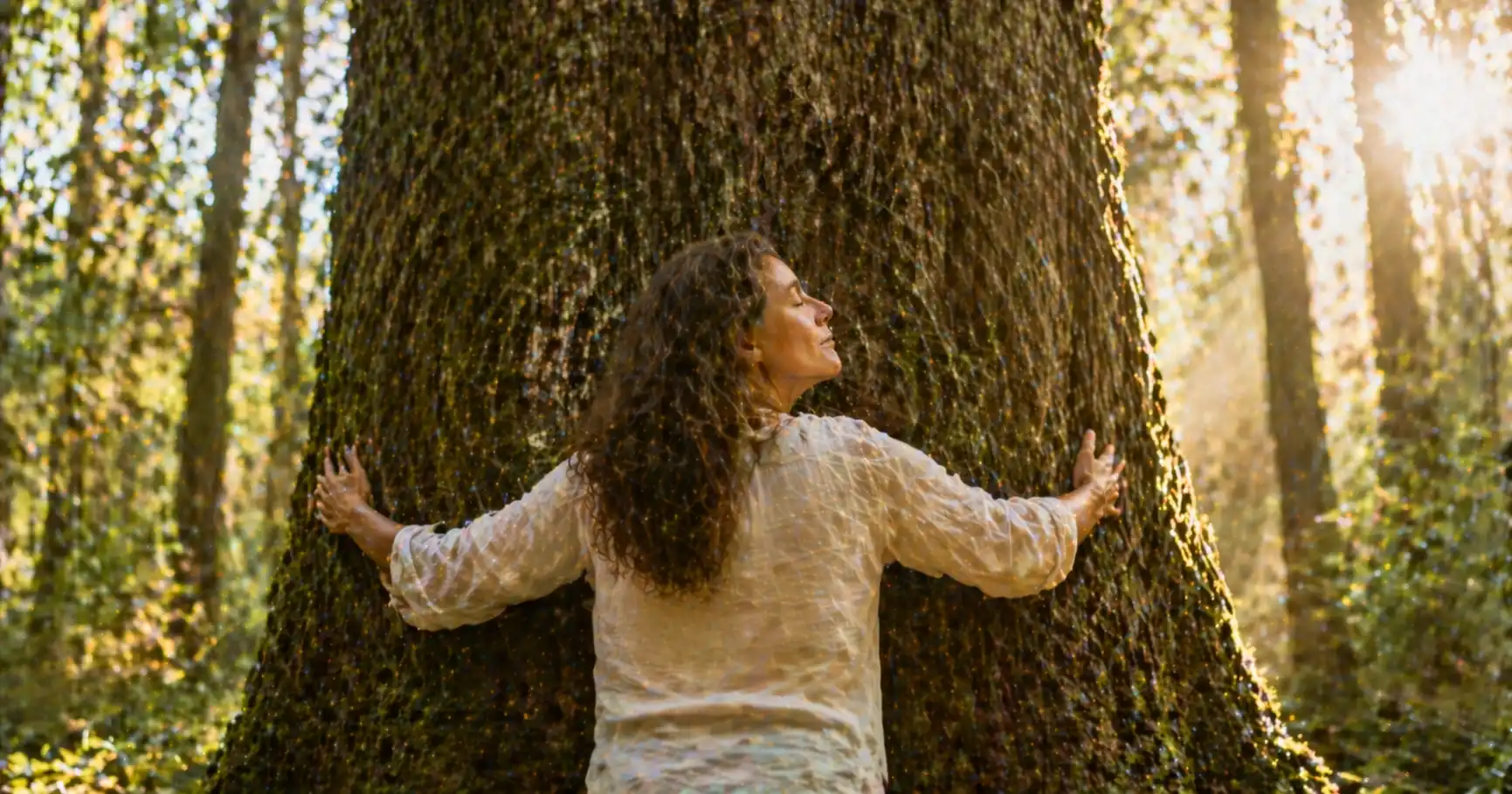 Personne adulte au milieu d'une forêt, paumes posées sur un arbre majestueux dans une pratique de sylvothérapie